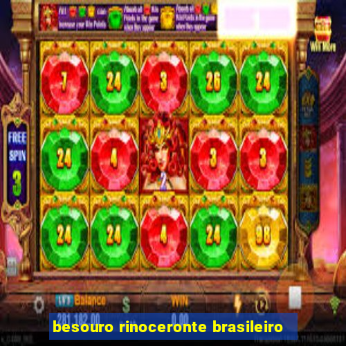 besouro rinoceronte brasileiro